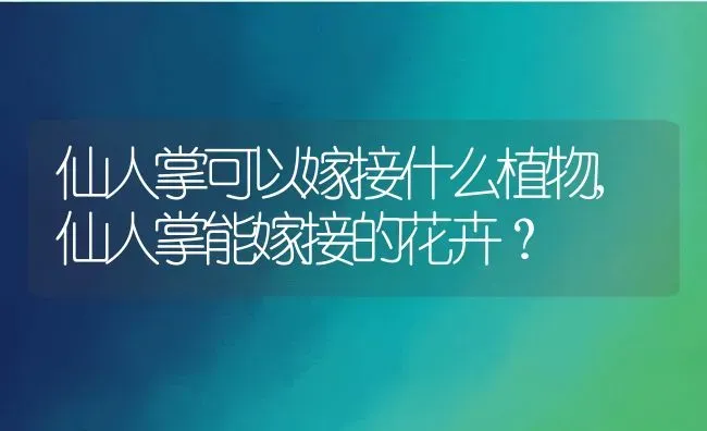 仙人掌可以嫁接什么植物,仙人掌能嫁接的花卉？ | 养殖科普