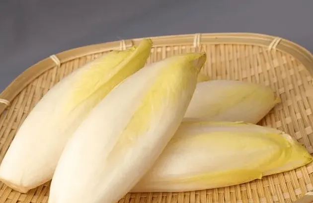 金玉兰菜种子哪里有卖,金玉兰菜繁殖方法？