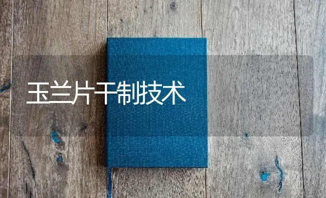 玉兰片干制技术 | 养殖技术大全