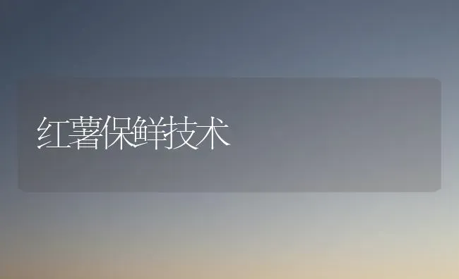红薯保鲜技术 | 养殖技术大全