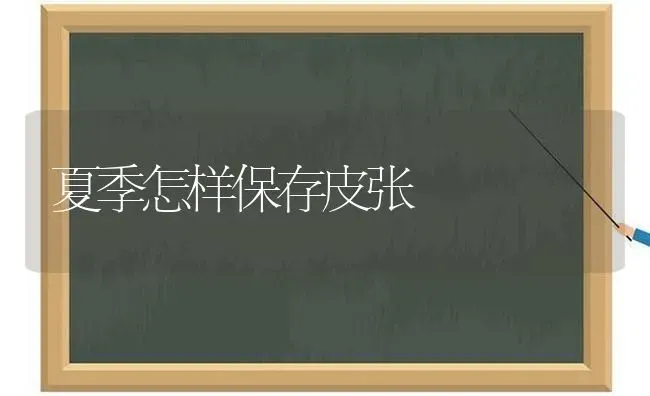 夏季怎样保存皮张 | 养殖知识