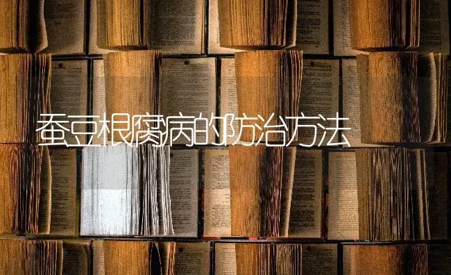 蚕豆根腐病的防治方法 | 养殖技术大全