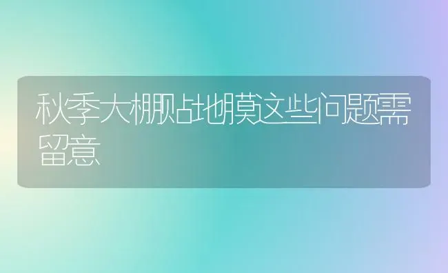 秋季大棚贴地膜这些问题需留意 | 养殖技术大全