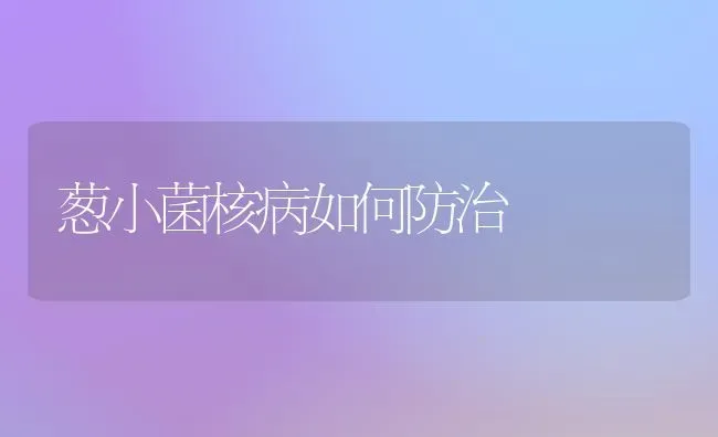 葱小菌核病如何防治 | 养殖技术大全