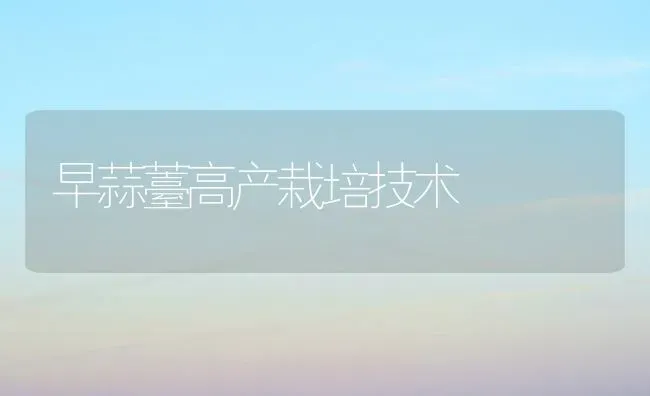 早蒜薹高产栽培技术 | 养殖技术大全