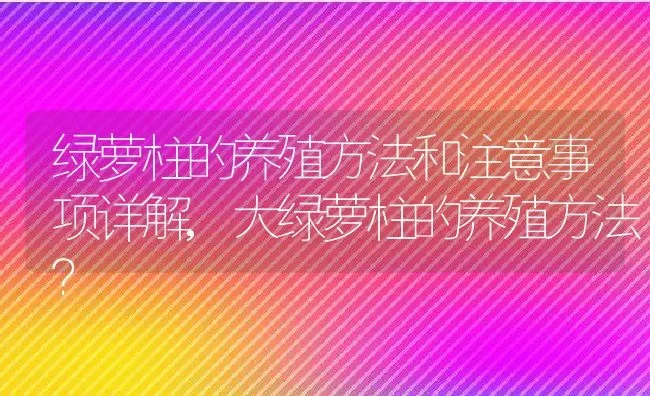 绿萝柱的养殖方法和注意事项详解,大绿萝柱的养殖方法？ | 养殖科普