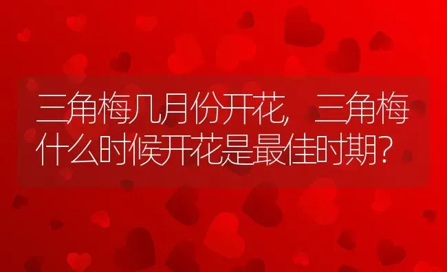 三角梅几月份开花,三角梅什么时候开花是最佳时期？ | 养殖科普