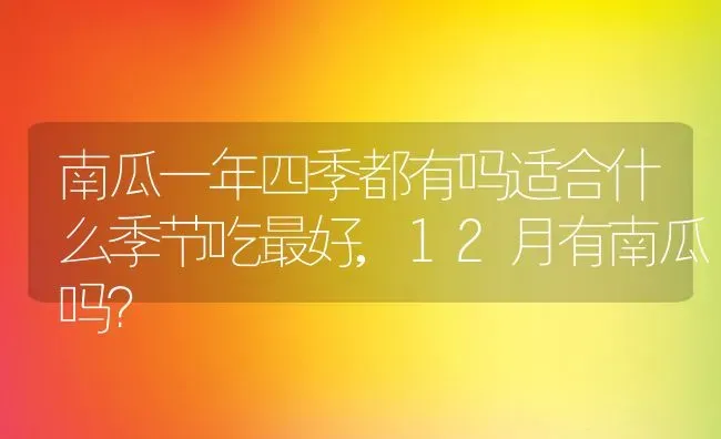 南瓜一年四季都有吗适合什么季节吃最好,12月有南瓜吗？ | 养殖科普