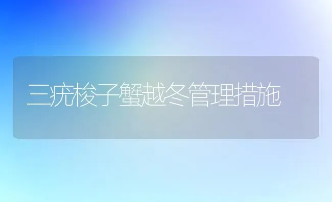 三疣梭子蟹越冬管理措施 | 养殖知识