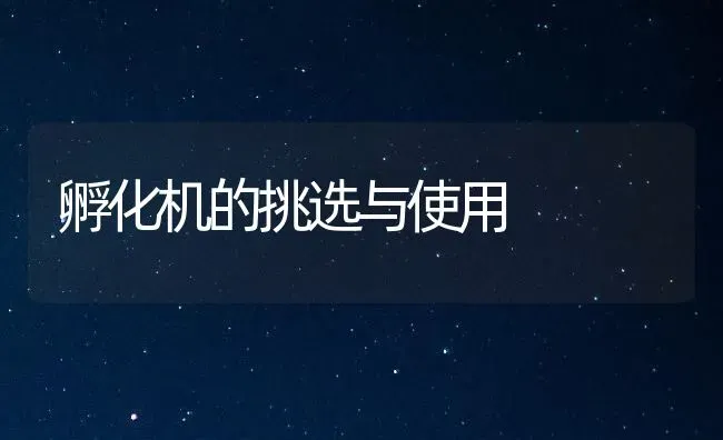 孵化机的挑选与使用 | 养殖技术大全
