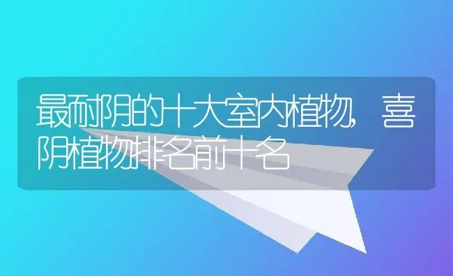 最耐阴的十大室内植物,喜阴植物排名前十名 | 养殖学堂