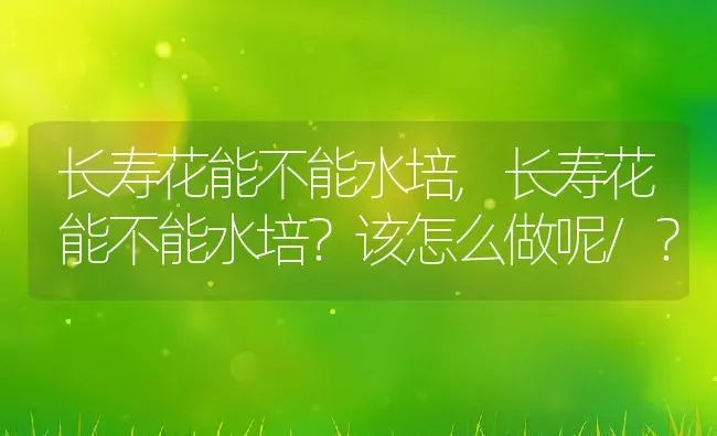 长寿花能不能水培,长寿花能不能水培？该怎么做呢/？ | 养殖科普