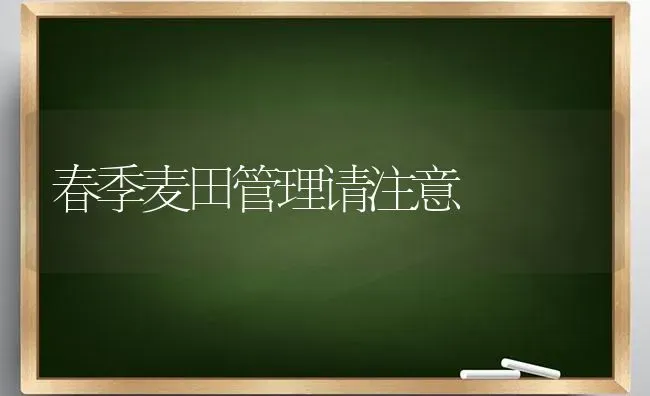 春季麦田管理请注意 | 养殖知识