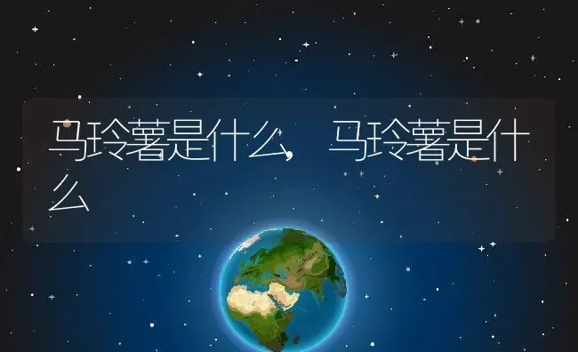 葡萄种植时间和收获时间,葡萄到几月份下市？ | 养殖科普