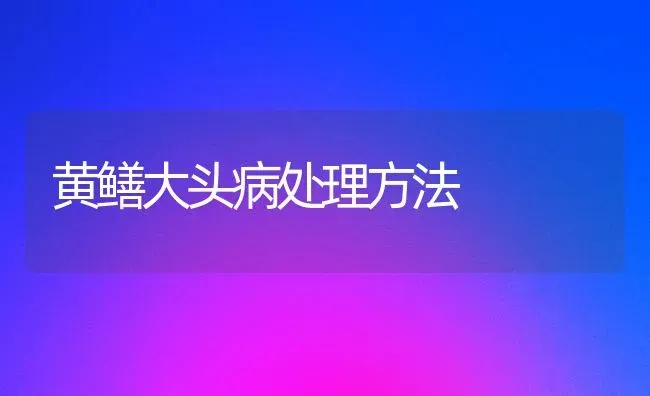 黄鳝大头病处理方法 | 养殖技术大全