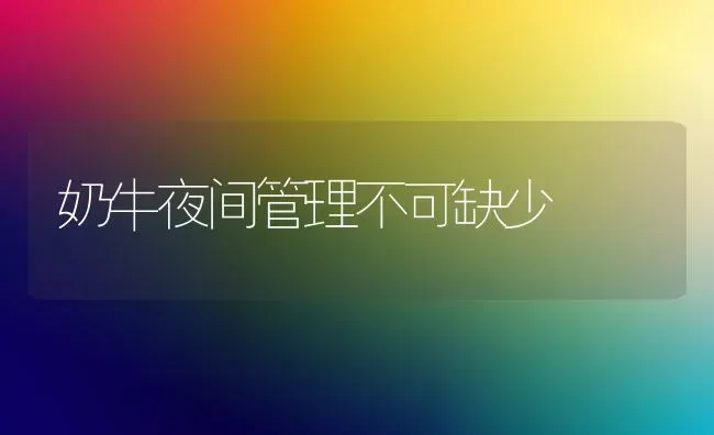 奶牛夜间管理不可缺少 | 养殖知识