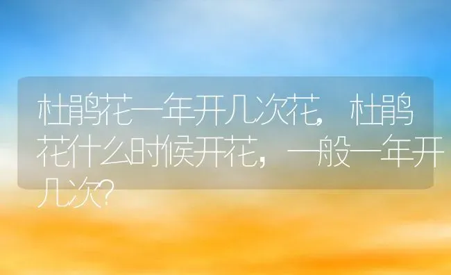 杜鹃花一年开几次花,杜鹃花什么时候开花，一般一年开几次？ | 养殖学堂