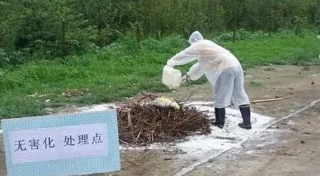 基层建立病死畜禽无害化处理长效机制探讨 | 农广天地