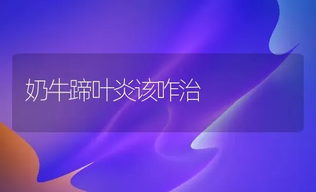 奶牛蹄叶炎该咋治 | 养殖技术大全