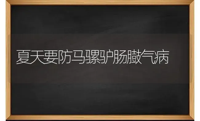 夏天要防马骡驴肠臌气病 | 养殖知识