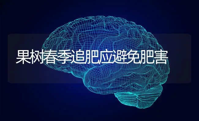 豆饼储藏与饲用技术 | 养殖技术大全