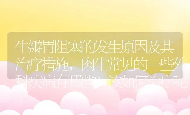 牛瓣胃阻塞的发生原因及其治疗措施,肉牛常见的一些外科疾病有哪些？该如何治疗呢 | 养殖学堂