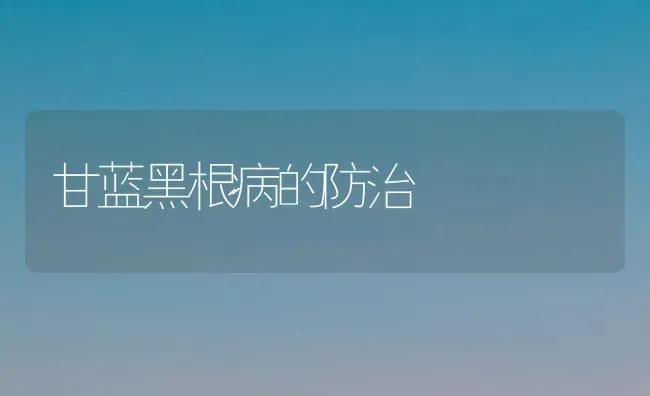 甘蓝黑根病的防治 | 养殖技术大全