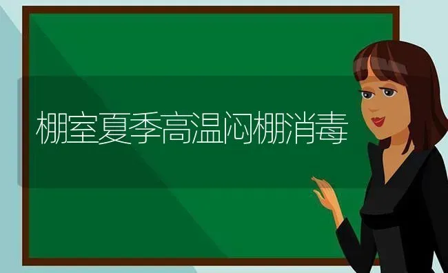 棚室夏季高温闷棚消毒 | 养殖知识