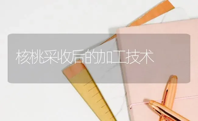 核桃采收后的加工技术 | 养殖技术大全