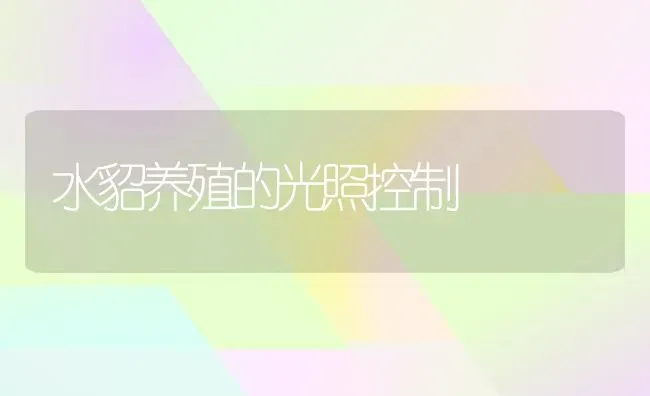 水貂养殖的光照控制 | 养殖技术大全