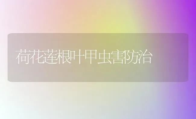 荷花莲根叶甲虫害防治 | 养殖知识