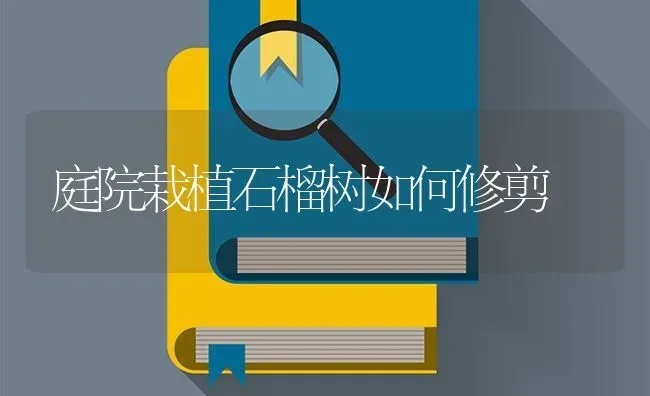 庭院栽植石榴树如何修剪 | 养殖技术大全