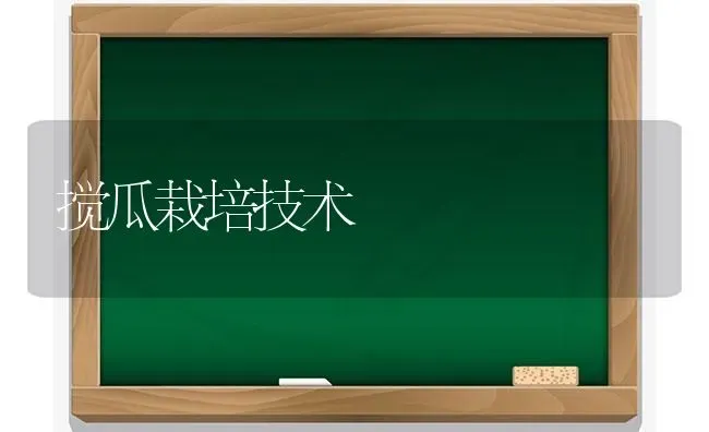 搅瓜栽培技术 | 养殖技术大全