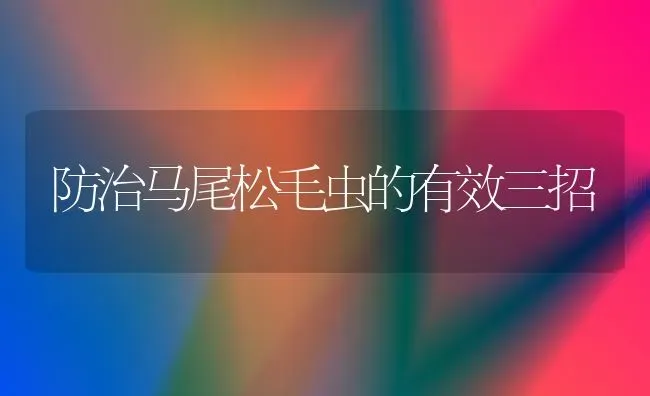 防治马尾松毛虫的有效三招 | 养殖技术大全