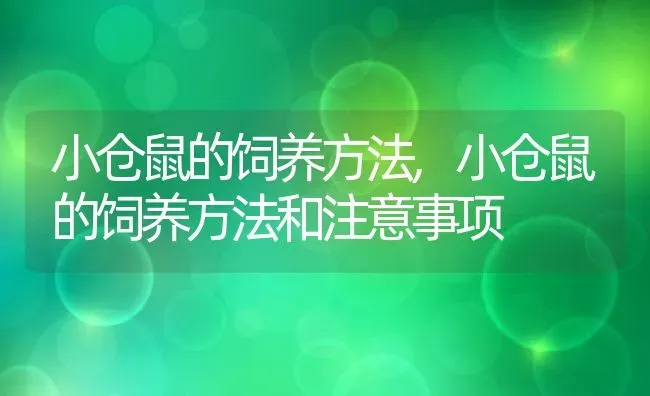 小仓鼠的饲养方法,小仓鼠的饲养方法和注意事项 | 养殖资料