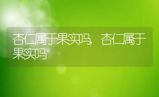 杏仁属于果实吗,杏仁属于果实吗 | 养殖科普