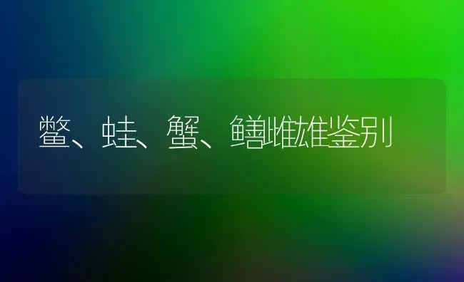 鳖、蛙、蟹、鳝雌雄鉴别 | 养殖知识