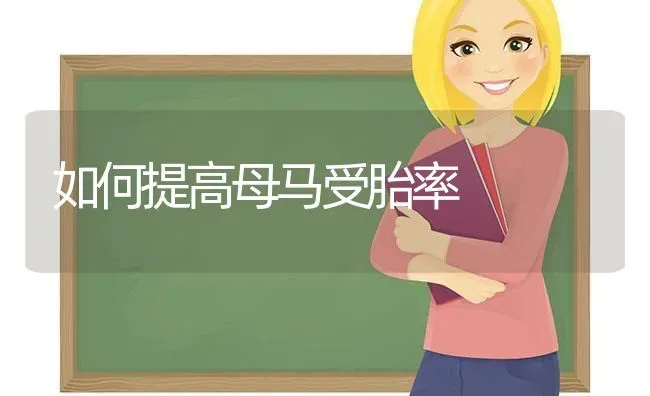 如何提高母马受胎率 | 养殖技术大全