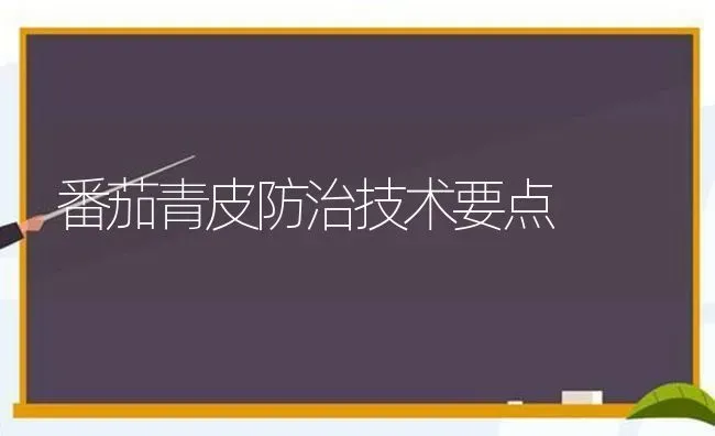 番茄青皮防治技术要点 | 养殖技术大全