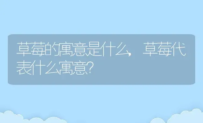 草莓的寓意是什么,草莓代表什么寓意？ | 养殖科普