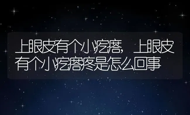 上眼皮有个小疙瘩,上眼皮有个小疙瘩疼是怎么回事 | 养殖科普