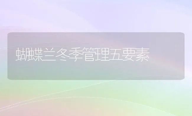 蝴蝶兰冬季管理五要素 | 养殖知识