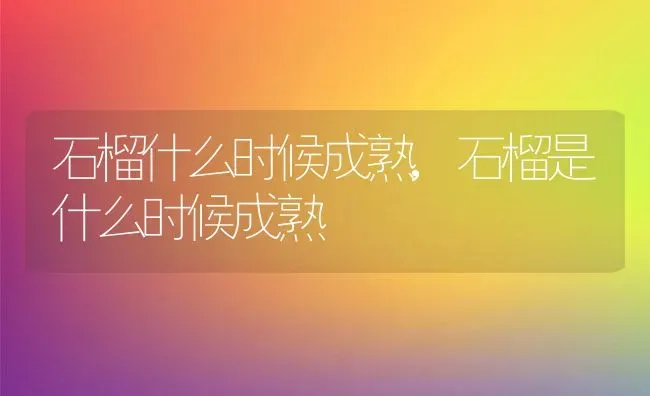 石榴什么时候成熟,石榴是什么时候成熟 | 养殖学堂