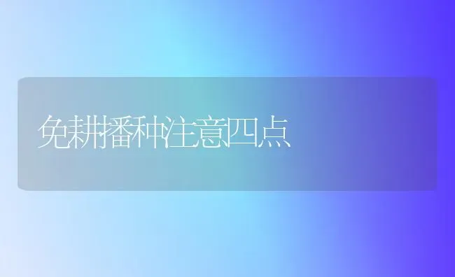 免耕播种注意四点 | 养殖技术大全