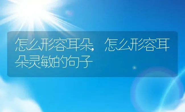 怎么形容耳朵,怎么形容耳朵灵敏的句子 | 养殖资料