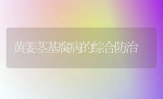 黄姜茎基腐病的综合防治 | 养殖知识