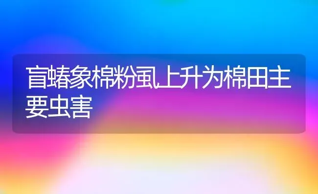 盲蝽象棉粉虱上升为棉田主要虫害 | 养殖知识