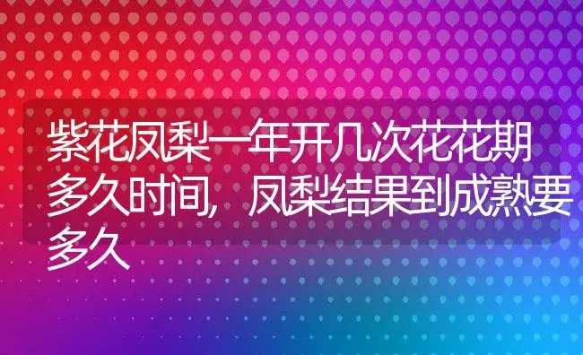 紫花凤梨一年开几次花花期多久时间,凤梨结果到成熟要多久 | 养殖学堂