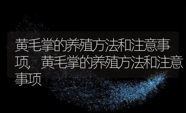 黄毛掌的养殖方法和注意事项,黄毛掌的养殖方法和注意事项 | 养殖科普