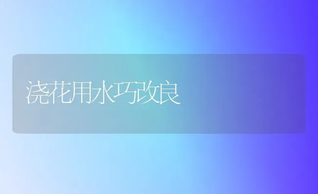 浇花用水巧改良 | 养殖知识